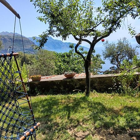 Villa Sorrento, near Positano, Amalfi Coast, Casa Carcara Colli di Fontanelle Esterno foto