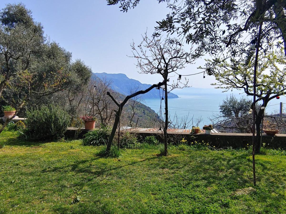 Villa Sorrento, near Positano, Amalfi Coast, Casa Carcara Colli di Fontanelle Esterno foto
