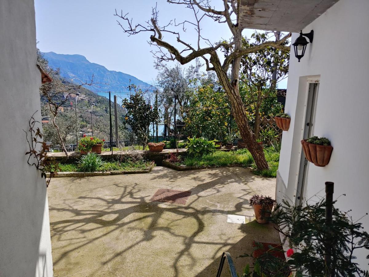 Villa Sorrento, near Positano, Amalfi Coast, Casa Carcara Colli di Fontanelle Esterno foto