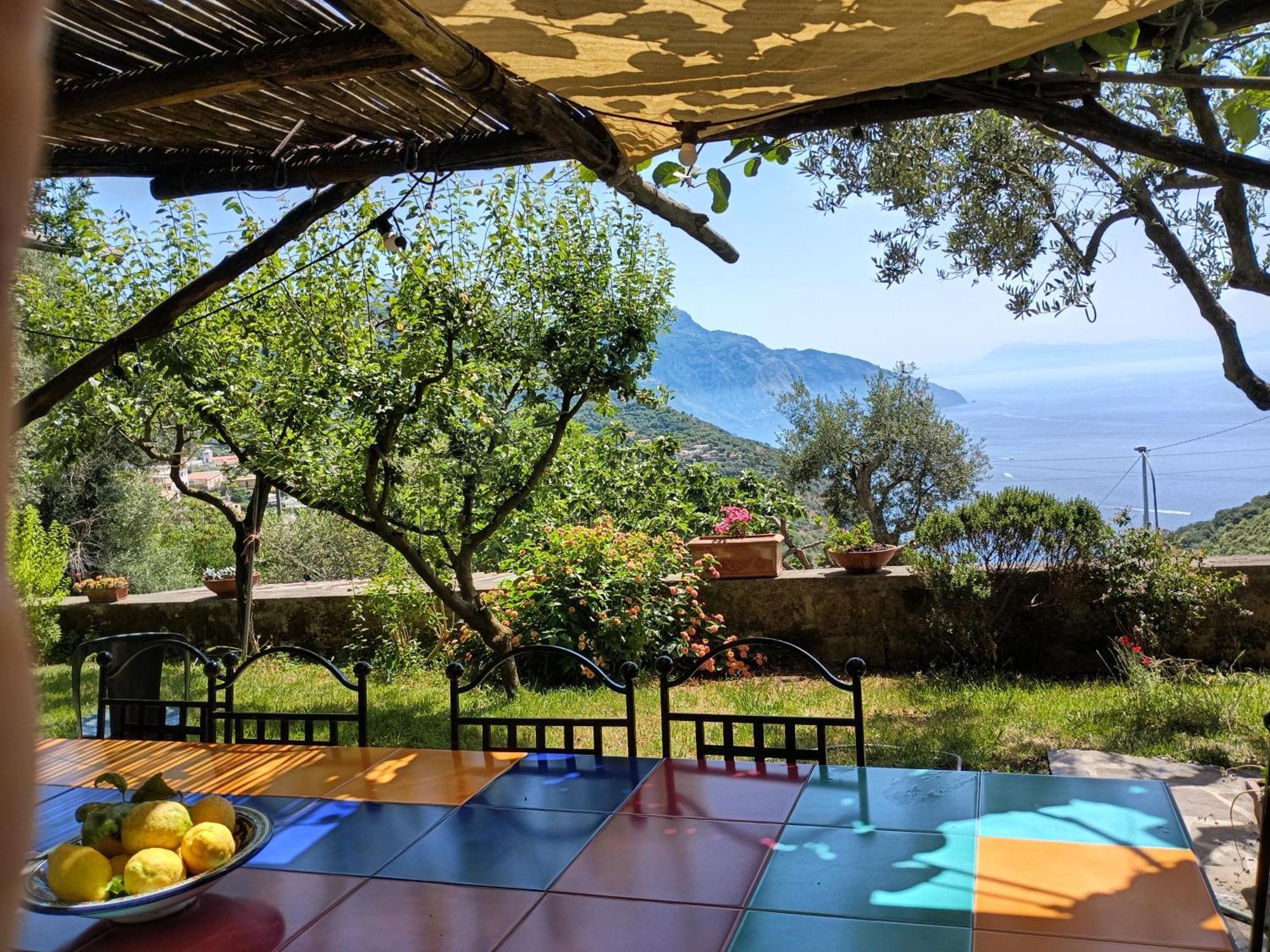 Villa Sorrento, near Positano, Amalfi Coast, Casa Carcara Colli di Fontanelle Esterno foto